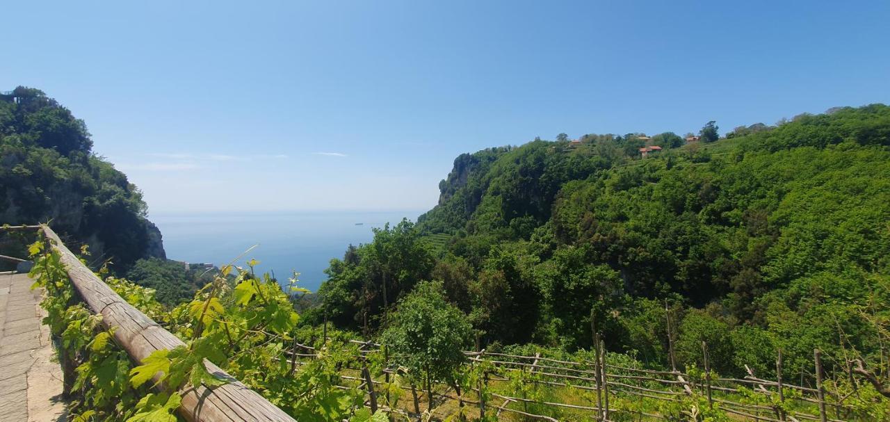 La Cicogna Bed and Breakfast Agerola Exteriör bild