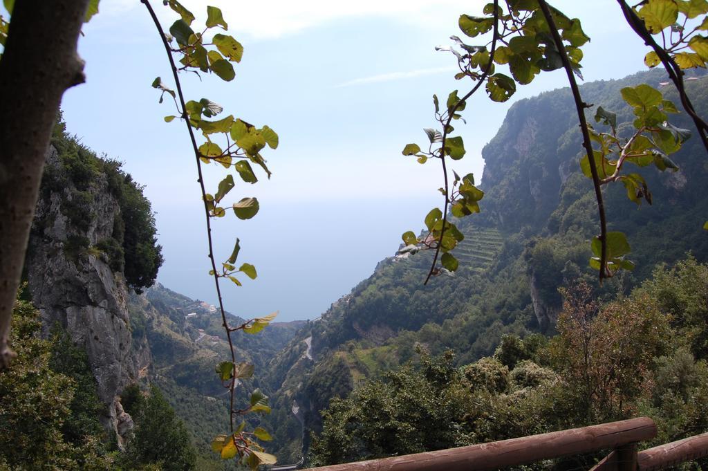 La Cicogna Bed and Breakfast Agerola Exteriör bild